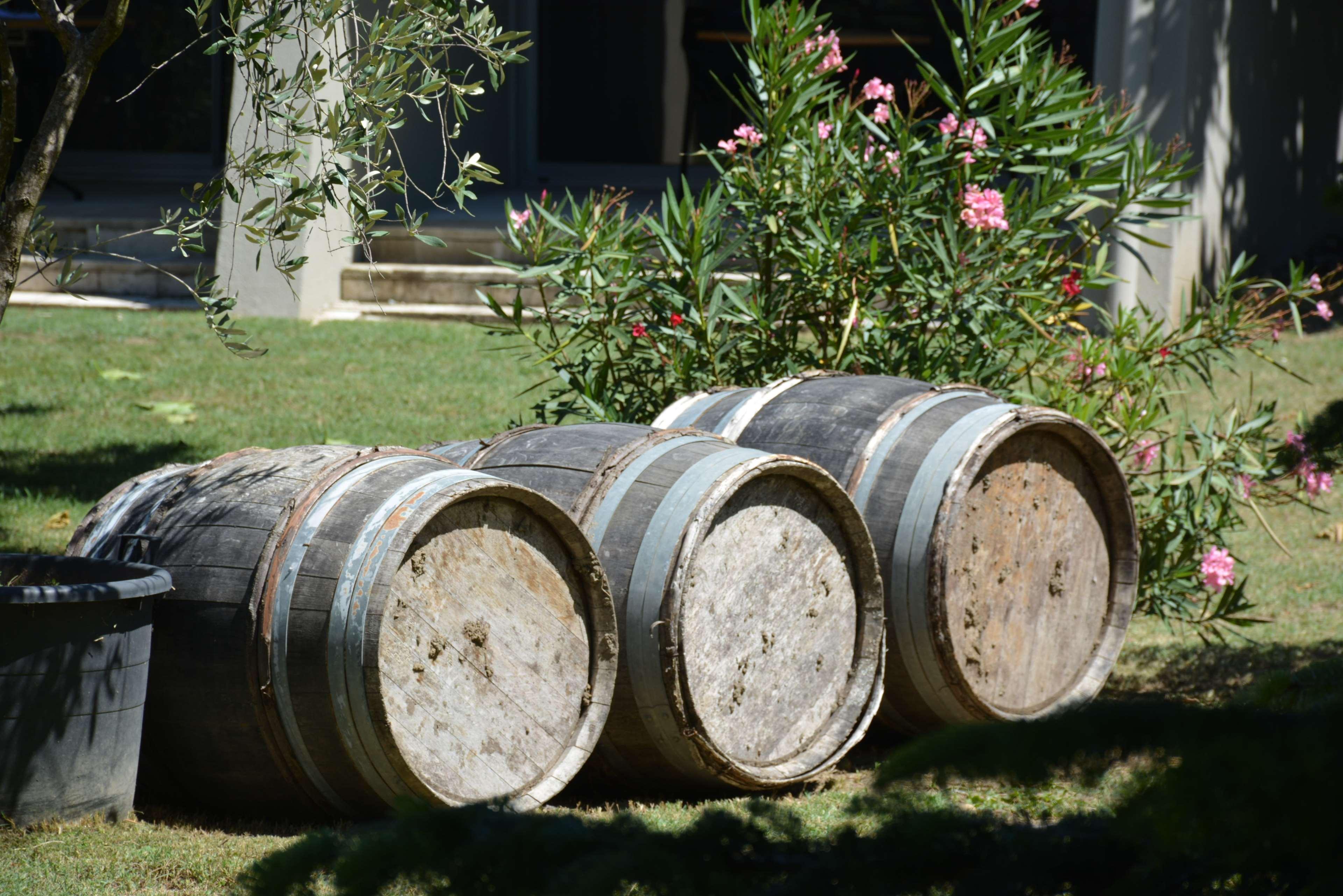 Best Western Plus Clos Syrah Valence  Eksteriør bilde